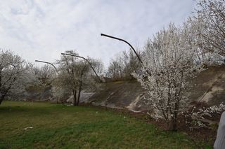 Tor kolarski Orzeł przy ul. Podskarbińskiej 11 w Warszawie
