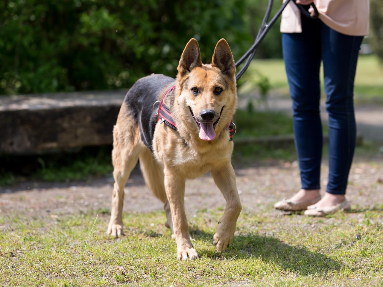 Śliczna Kama uratowana