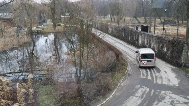 Ucieczka pantery śnieżnej z zoo w Chorzowie. Zdjęcia z akcji poszukiwawczej