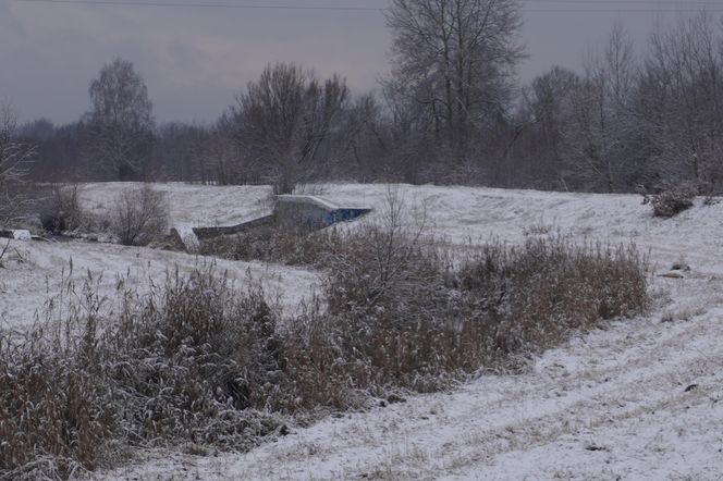 Zima w Świętokrzyskiem. Skarżysko-Kamienna (22.11.2024)