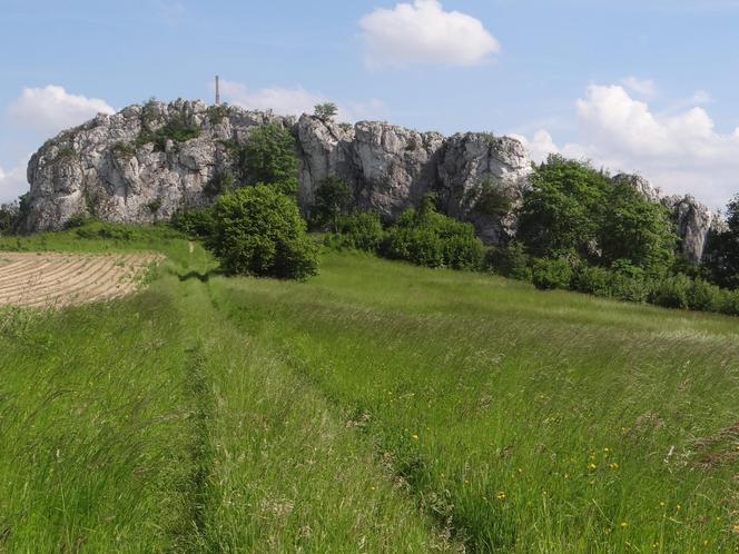 Skała 502 (też zwana Grodziskiem) w miejscowości Jerzmanowice