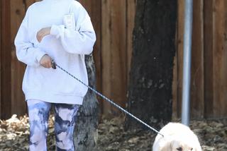 Shawn Mendes i Camila Cabello z psem na spacerze