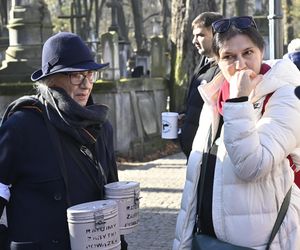 Gwiazdy kwestują na Powązkach