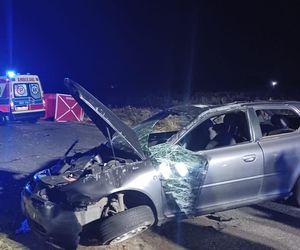 Tragiczny wypadek pod Bełchatowem. Nie żyje kierowca samochodu, który zderzył się z sarną