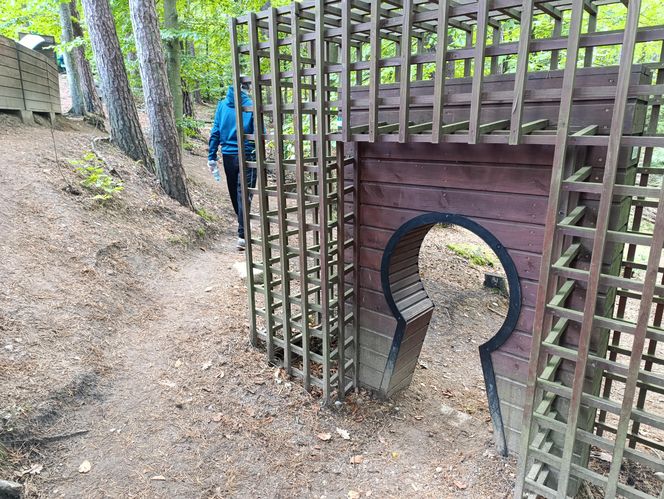 Zaczarowany ogród Alicji w Krainie Czarów i ścieżka spacerowa w lesie. Leśny Ogród Botaniczny Marszewo