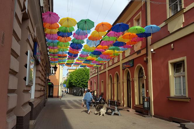 Już prawie 27 proc. mieszkań w Lesznie spisało się w spisie powszechnym