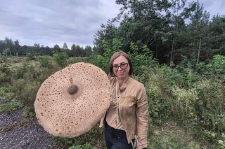 Pani Monika znalazła grzyba wielkości parasolki. Niezwykły okaz w Łódzkiem