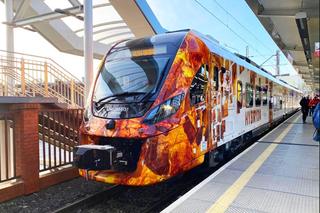 Tak wyglądają, produkowane przez Newag, hybrydowe pociągi