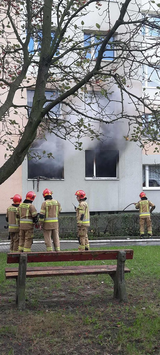 Pożar mieszkania przy ul. Kalinowej w Zabrzu