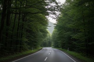Kolejna tragedia w Roztoczańskim Parku Narodowym. Ile jeszcze zwierząt zginie na drodze?