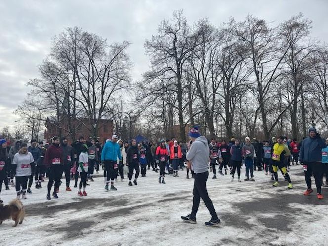 Pączek Run
