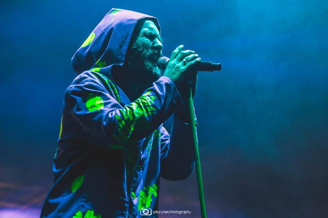 Last Minute Summer Festival 2020. Zobacz zdjęcia z koncertów [GALERIA]