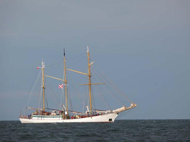 ParadaZagleGdyni2014_FotMZwierz_710057