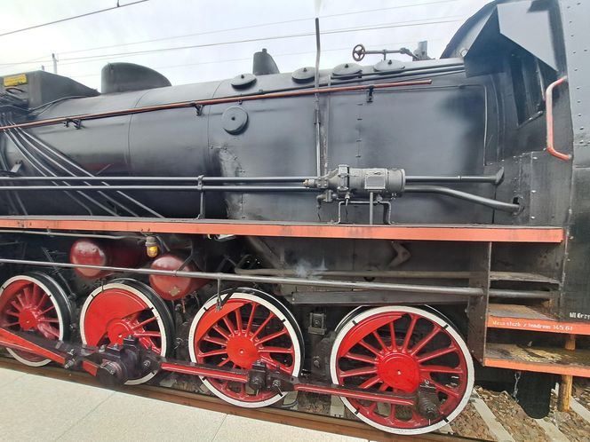 Pociąg Retro 2025 - Pleśna - Łowczówek - Tuchów
