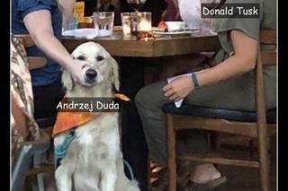Andrzej Duda i Donald Tusk. USA. MEMY