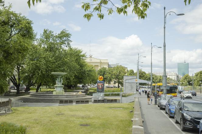 Zazielenianie stolicy. Posadzą 2137 nowych drzew i krzaków! „Nowoczesna Warszawa to miasto zielone”