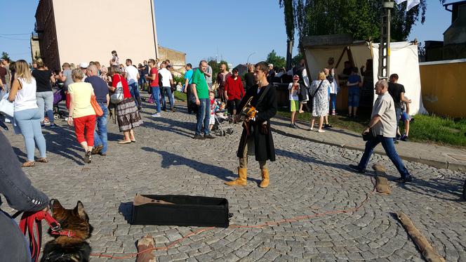 Turniej Rycerski w Będzinie