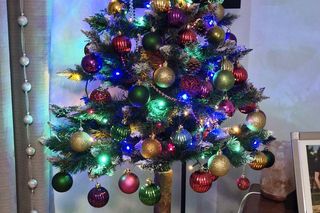 Żywe i sztuczne. Nasi Czytelnicy pochwalili się swoimi choinkami. Zobacz zdjęcia!