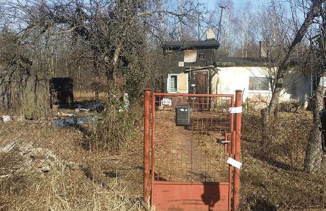 Zakopała żywcem noworodka