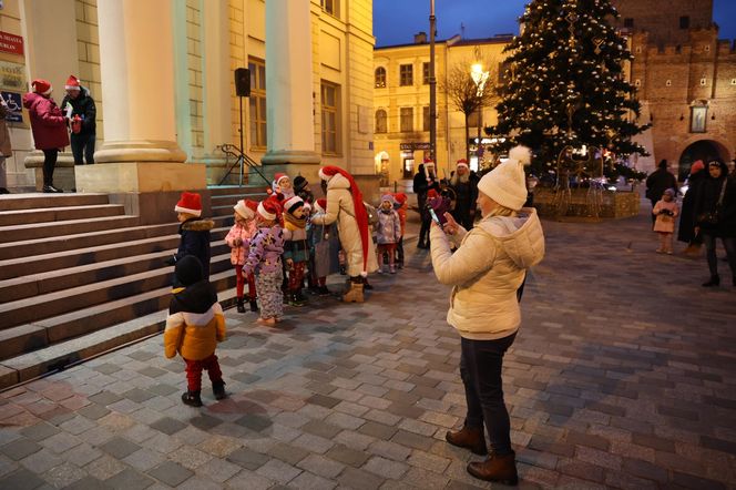 Boże Narodzenie 2024. Światełka oświetliły choinkę na pl. Łokietka w stolicy woj. lubelskiego! Tak się prezentuje