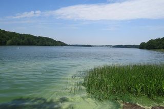 To jezioro na Kaszubach jest prawdziwą oazą spokoju. Warto je zobaczyć, ale trzeba przestrzegać zasad 