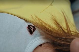 M jak miłość, odcinek 1697: Franka (Dominika Kachlik)