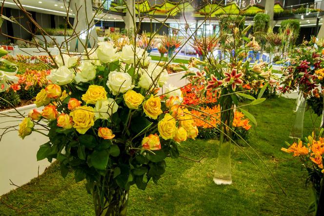 Międzynarodowa wystawa kwiatów w Ołomuńcu