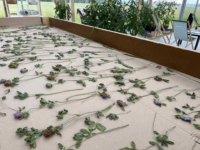 Wyjątkowe miejsce w Wólce Konopnej. Farma toMy dla osób z niepełnosprawnością