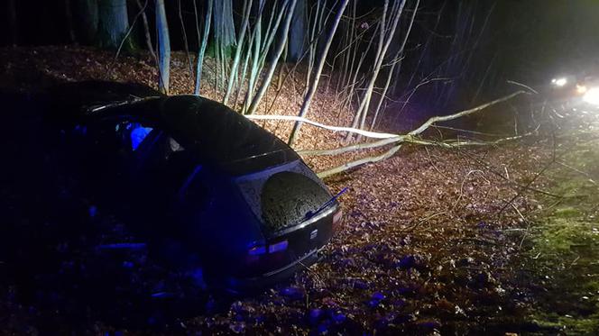 Kierowca z drogi i wjechał do rowu. Potrzebna była interwencja straży pożarnej