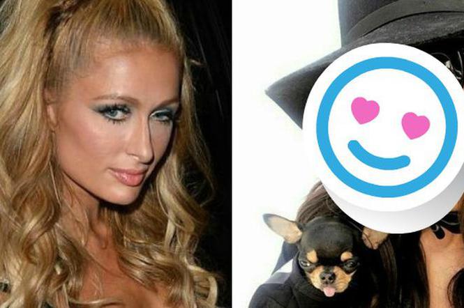 Paris Hilton - nowa fryzura