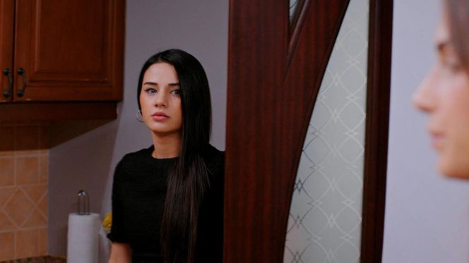 Miłość i nadzieja odc. 315. Sila, Bahar