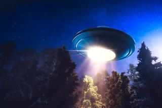 Sprzedają zdjęcia z katastrofy UFO za milion dolarów