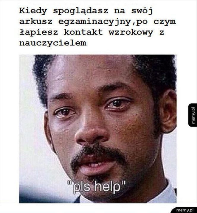 Memy o maturze