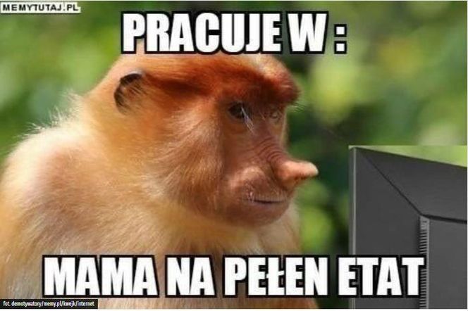 Memy na Dzień Mamy 2025