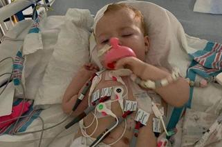 Arianka walczyła o życie. Nadeszły smutne wieści. „Odeszła tam, gdzie bólu i smutku już nie ma”