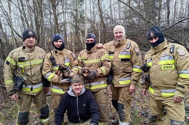 Lubelskie. Szczeniaki uwięzione w lisiej noże. Strażacy kopali w zmarzniętej ziemi przez 3 godziny