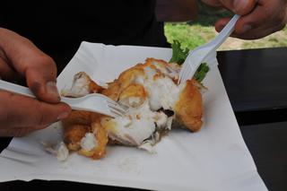 Tak poznasz że ryba jest świeża