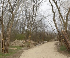 W Warszawie powstaje drugie lapidarium. Miasto nie usunie betonowych odpadów. To artefakty