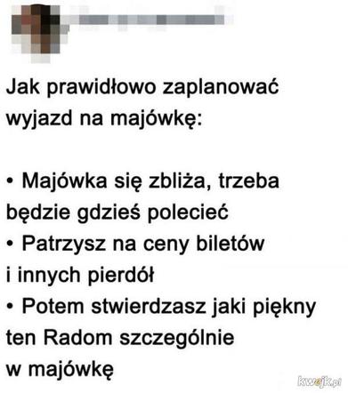 Majwówka 2020 memy