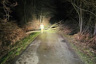 Niebezpieczne podmuchy wiatru w Łódzkiem. Strażacy interweniowali 140 razy