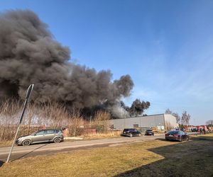 Ogromny pożar pod Zieloną Górą! Płonie hala firmy DBW. Jest pilny apel do mieszkańców