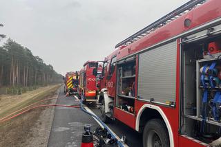 Pożar na obwodnicy w Toruniu. Płonęło auto