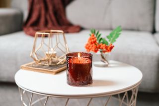 Jak utrwalić jarzębinę, aby jej kolor nie zbladł do grudnia? Sprytny trik