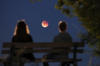 Tak wyglądał Krwawy Księżyc na świecie! Zobacz galerię zdjęć