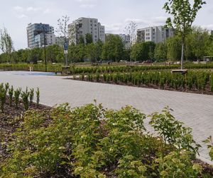 Mieszkańcy przeciwko części parku nad Południową Obwodnicą Warszawy