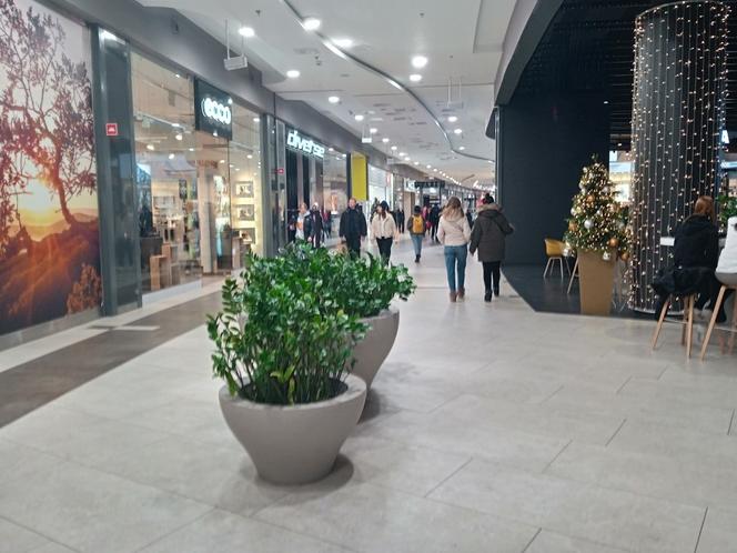 Black Friday 2022 w Poznaniu