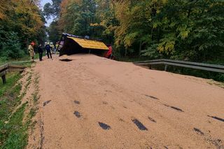 Przewrócona ciężarówka ze zbożem