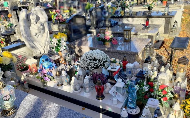 Kamilek z Częstochowy