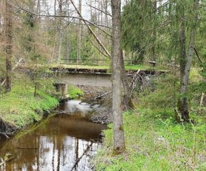 Czarna Białostocka - Puszcza Knyszyńska