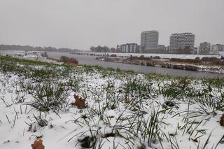 Wrocław pod śniegiem. Trudne warunki na drogach, korki, opóźnienia i awarie